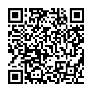 而在这里面几乎每一个公子哥的手中都抱着一名穿着妖艳的女子二维码生成