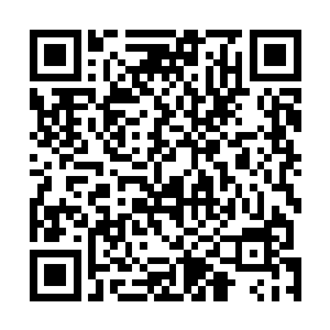 而墨绿色的狰狞血液正丝丝缕缕从霍离殇小指伤口处流出二维码生成