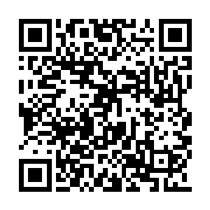 而夜染和卡卡两只在高台之上悠闲的吃起了苹果二维码生成