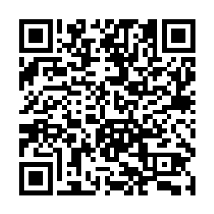 而大荒内的那些人最起码都能达到三鼎七八阶的实力二维码生成