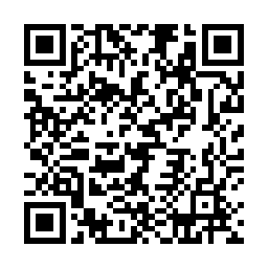 而她此刻根本没有注意到自己胸前的领口已经吊了下去二维码生成
