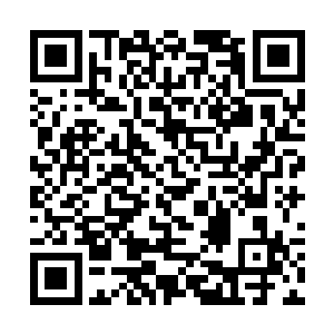而孙子轩体内的阳力则随着孙子轩招式的用出而喷涌二维码生成