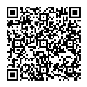 而孙尘听到了李浩华的话之后一下子明白了过来为什么李浩华会对孙振林如此仇视了二维码生成