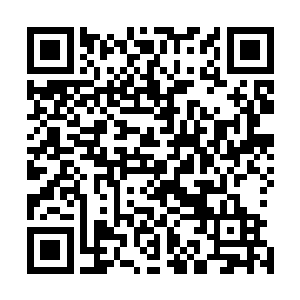 而小北又是用何种手段将他们从那森严的炼尸塔之中救出的二维码生成