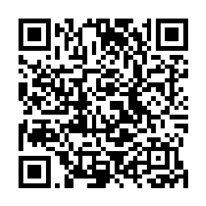 而幻影旅团这边也没人拆穿的原因是他们和罗楼不熟之外二维码生成