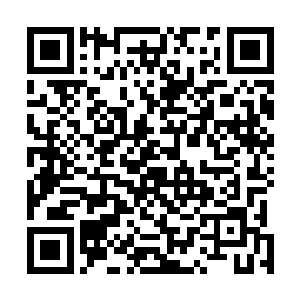 而我现在就是用这十二株常青树重新定住伦敦大学的气场二维码生成
