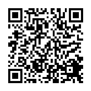 而打断她的那一句话比炸弹的威力还要强大百倍千倍二维码生成