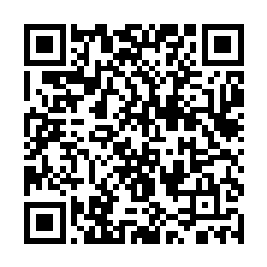 而擎天柱那庞大的体型更是让它成为了最好的压路机二维码生成