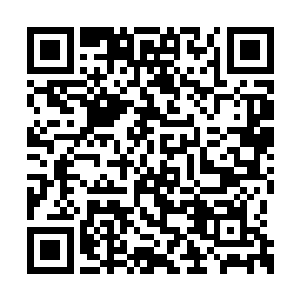 而是女生们为了感激他救下刘薇做出的谢恩之举二维码生成