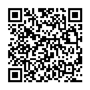 而是屏退其他人和影卫首领向忠单独在屋内呆了一阵二维码生成