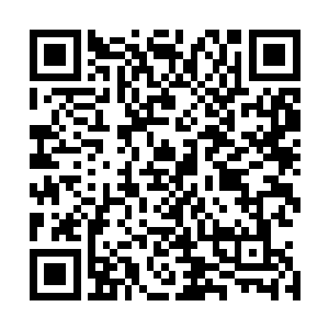 而是已经说到西北藩王在他仍是世子殿下时的一番精彩点评二维码生成