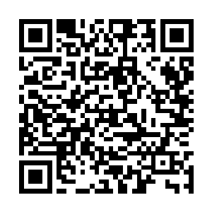而是必须吸收经母体树转化后的阳光能量才能生存二维码生成