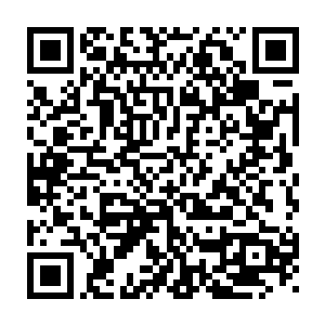 而是忽然取出了那流墨墨他们曾试过能验证是否主仆的手环递了过来二维码生成