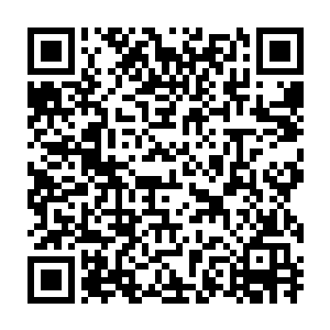 而是我第五次被抓回来之后逼迫天元出了一门新课程叫星际流浪课二维码生成