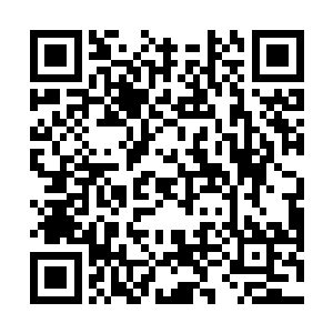 而是挥挥手示意负责发牌的那个半裸着的女郎赶紧发牌二维码生成