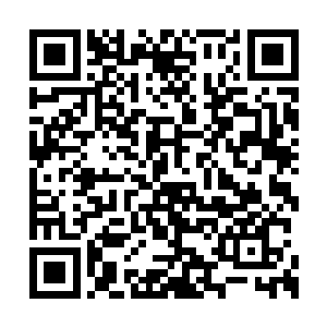 而是用自己的长剑将一棵高有一丈多的小树砍倒二维码生成