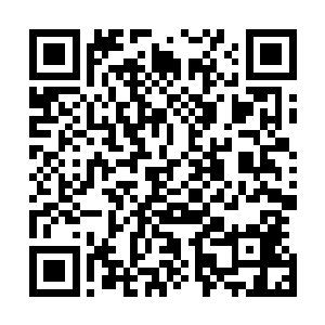 而是略带怜悯看着湖中那头龙气可以推本溯源到高原的黄蛟二维码生成