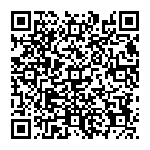 而是通过某种秘法强行提升到这个层次的……他们本身的实力却没有达到这个级别二维码生成