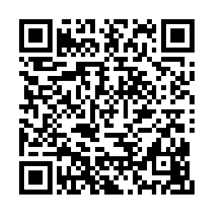 而有的追魂灵蝶的感应范围则可能只有290多公里二维码生成