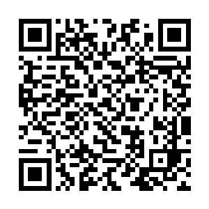 而木洛居然敢对身为凡人且同是木家族人的木萦出手二维码生成