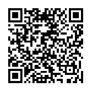 而此刻叶秋就好像一个旁观者一样观看着两人之间的战斗二维码生成