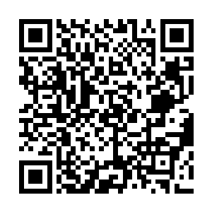 而此时查理兹也还没有构思好赛琳娜这个角色应该如何展现二维码生成
