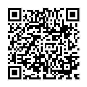 而此时聚集在王伦基本没怎么用过的都护府主殿中的这帮好汉二维码生成