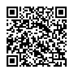 而流墨墨这边则是一边急速按照金鲨族的感应方法寻找二维码生成