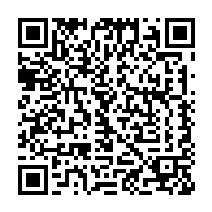 而海中常年不见天日的一些浮游生物正散发着零星且五彩斑斓的光彩二维码生成