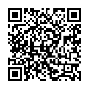 而海德拉则是被改造为九头蛇……据说实力爆发的时候二维码生成