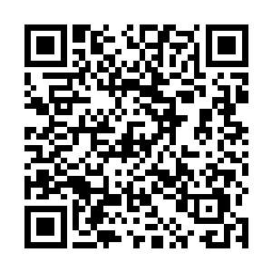 而现今炒作起来的一些青年画家动辄几十万上百万的画二维码生成