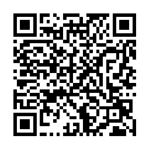 而申屠休则在那道还未彻底消散的透明气体护罩保护之下二维码生成