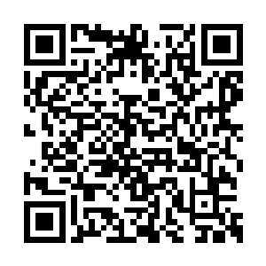 而秦家的秦曼阑还邀我去见见秦家真正的老家主二维码生成