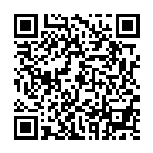 而童童却兴致勃勃的看着十几个人脸上那精彩的表情二维码生成