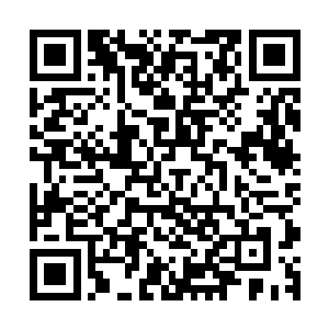 而能够进入到陨石带中目前在双雄仙城内也只有我们的白虎号二维码生成