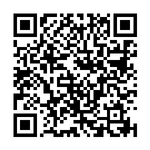 而自己在八千里黑色沼泽却被太古凶兽咬断了双腿二维码生成