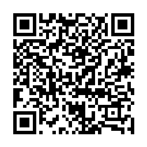 而苏嫣看着那门外守着的侍卫心中不由得多了几分绝望二维码生成