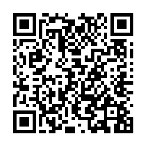 而苏瑷自然也注意到了这会儿穆昂手中拿着的专辑二维码生成