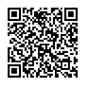 而苗毅也明显发现飞红来了这里后情绪有点说不清是什么味道二维码生成