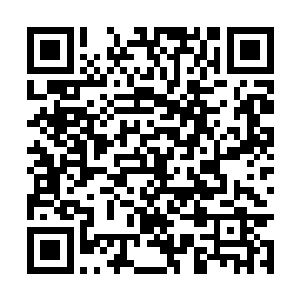 而被李妈妈叫进来的两人打量了番此刻身处的环境二维码生成