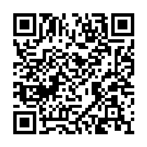 而跟着苏凡相比眼前的这些人就已经差了一大截二维码生成