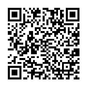 而这一番动作让苍树好不容易积攒出来的封印之力再度消耗一空二维码生成