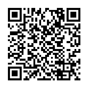而这三十万大军也根本不可能全部都投入赤壁之战二维码生成