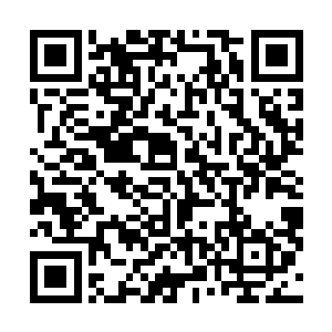 而这两支战队也是被lpl的观众冠以了王者之师的两支战队二维码生成