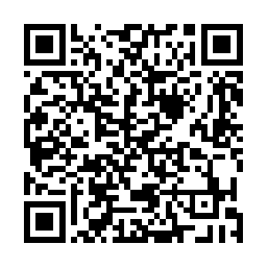 而这个人在文章中所披露的福海城惨案背后的黑幕与阴谋二维码生成