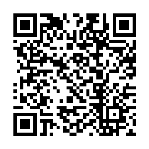 而这些参予斗医的弟子们一般最多只是看了七八个人二维码生成