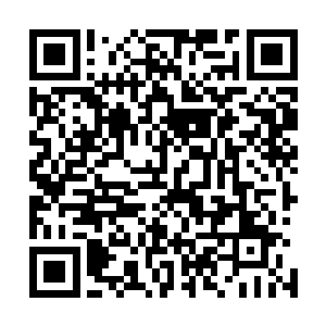 而这少数几个强大的家族基本上跟斯图亚家族多少有些仇恨二维码生成