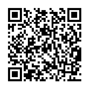 而远远跟在后面的一大群女人一直在追着后面清扫二维码生成