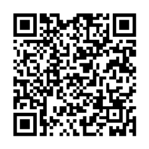 而遗失大陆五个种族也各自在各自的族地建立大阵二维码生成