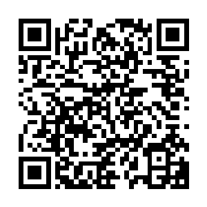 而遗迹之中的禁空禁制对他们来说显然根本就没有丝毫的限制二维码生成